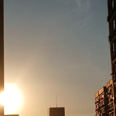 Profile image of 또니 경장