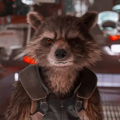 Profile image of Rocket