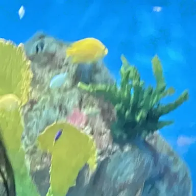 Profile image of 盃兄弟