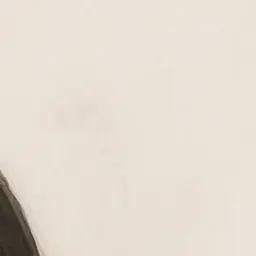 Profile image of 律