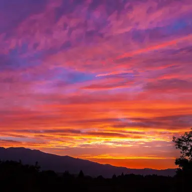 Profile image of 猿橋 園子