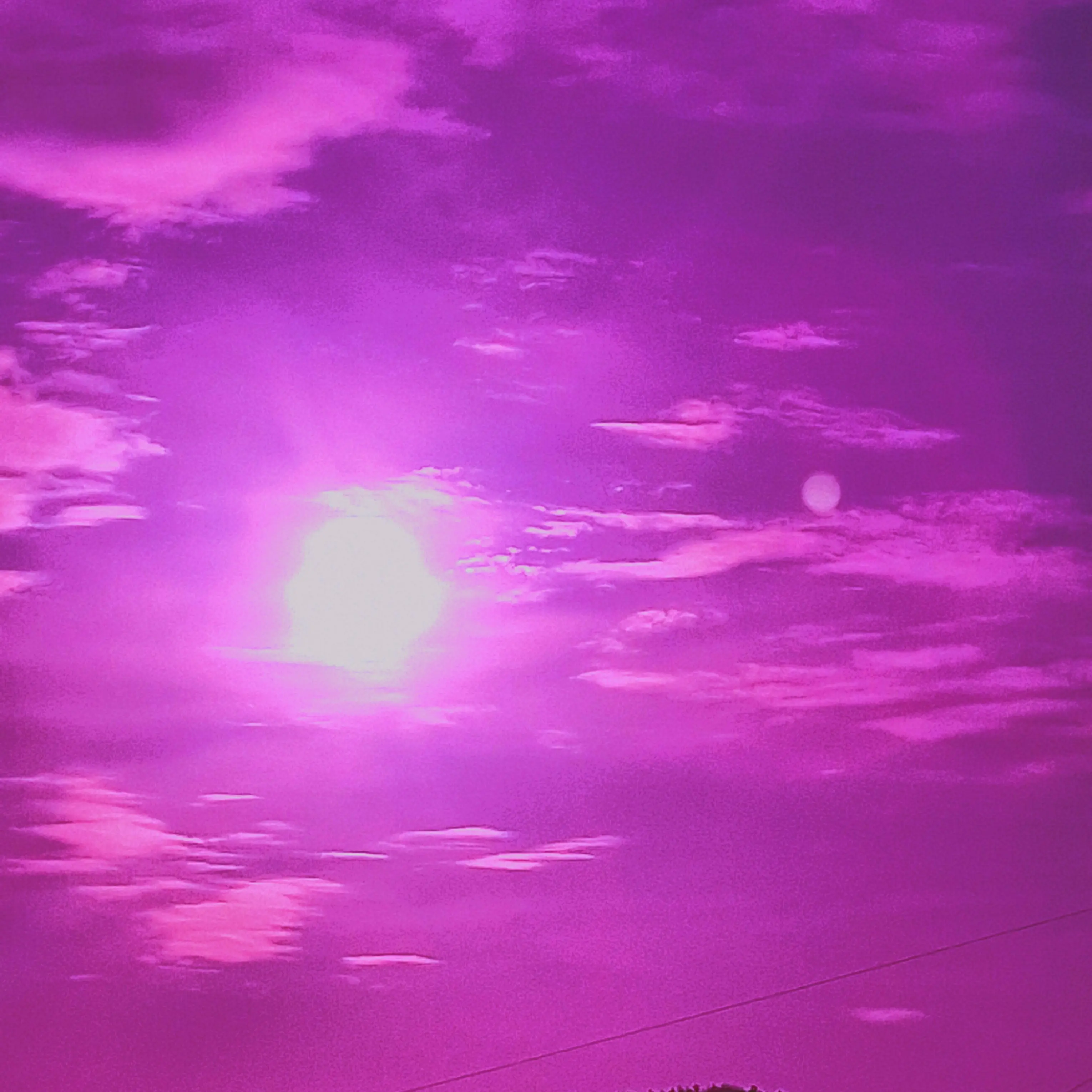 BoringNail5635의 뜰팁