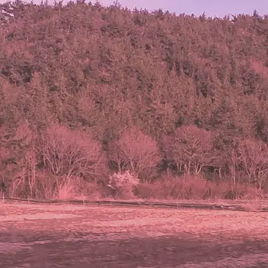 Profile image of コンリョン