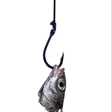 Profile image of 갈