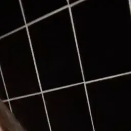 Profile image of 서윤