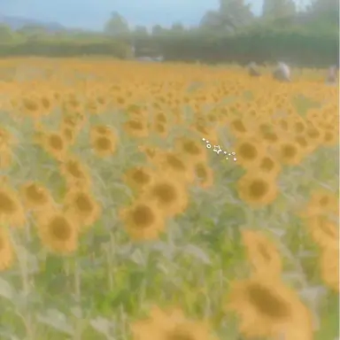 Profile image of ひまこ