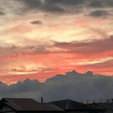 Profile image of 空