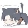 Profile image of Levi Ackerman