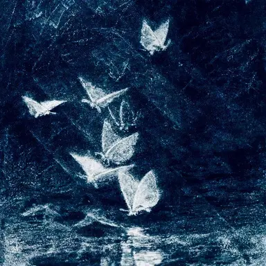 Profile image of 행크