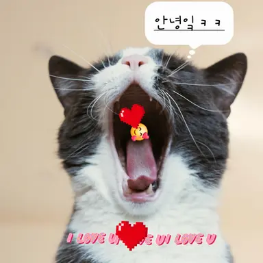 Profile image of 학원차 선생님