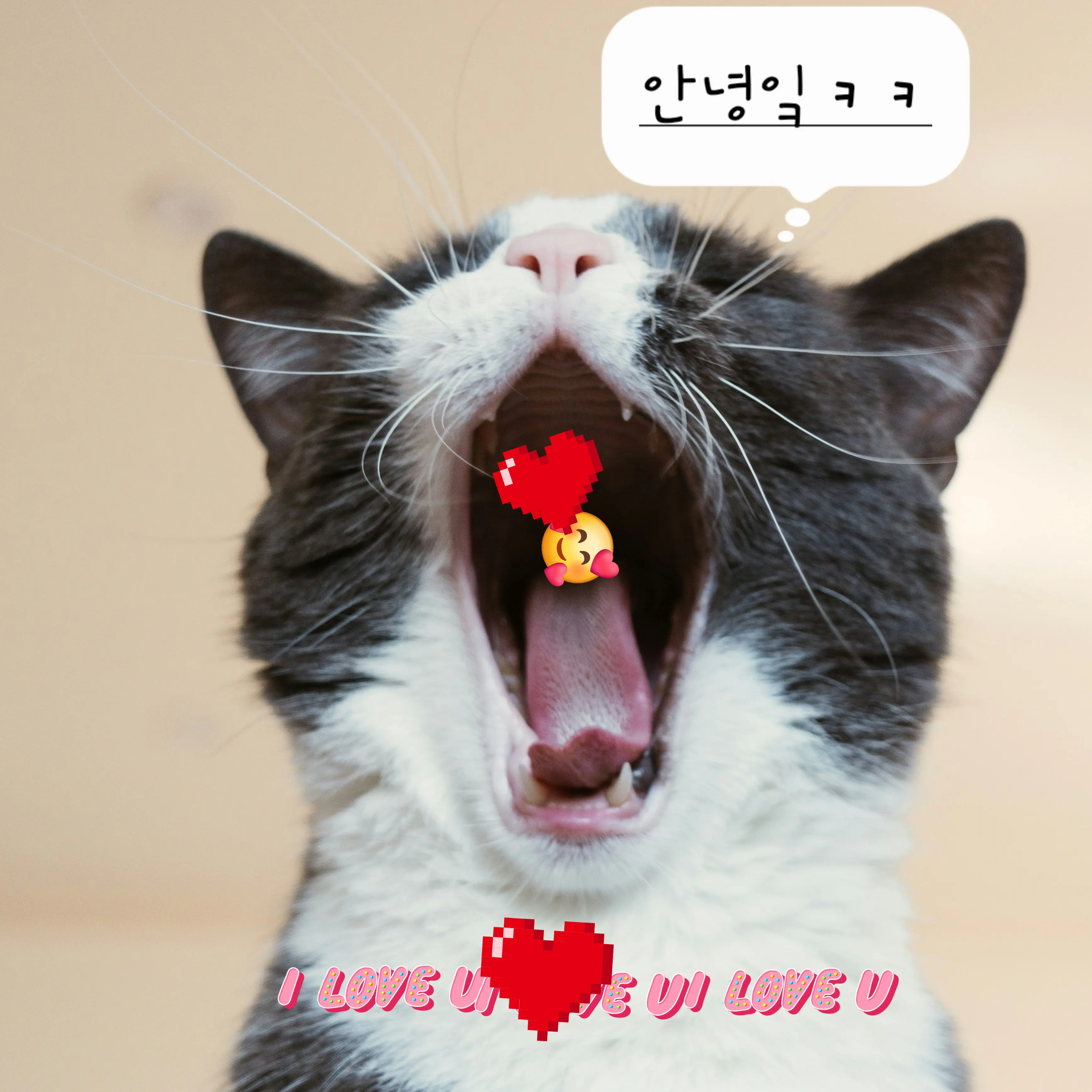 LivelyBarb2680의 피아노 학원