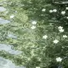 Profile image of 부하