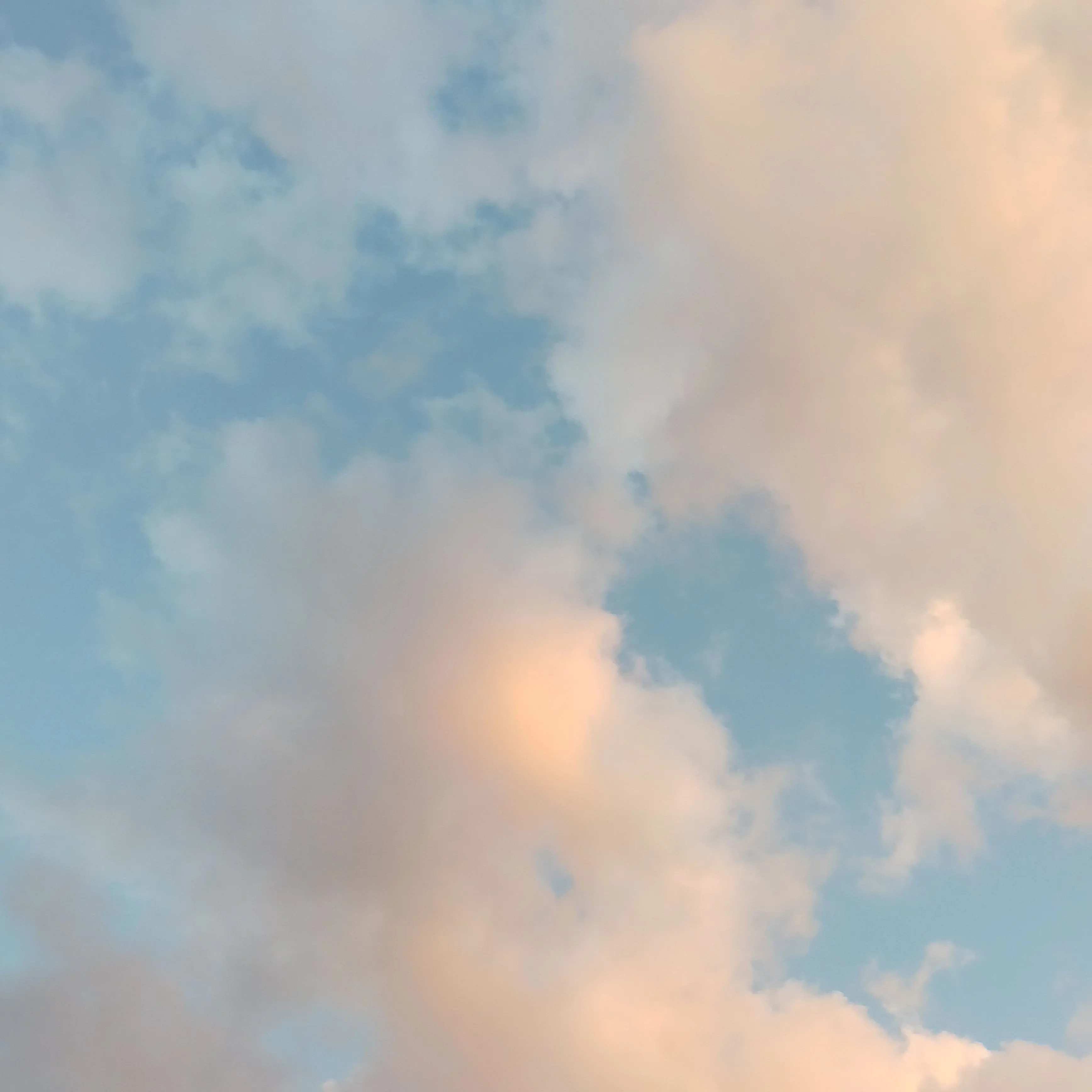 Purplearea0224의 (싸이코드) 보육원+여우