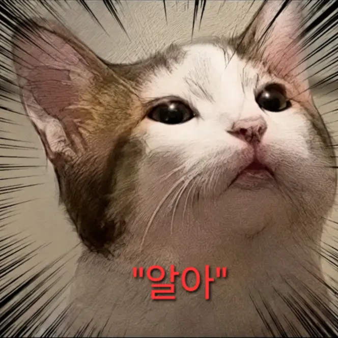 IKILLYOU의 고양이 키우기