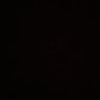 Profile image of 이민호