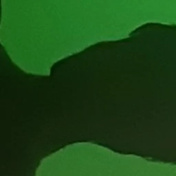 정재현