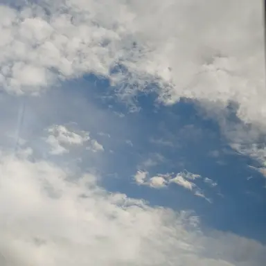 Profile image of 뜰팁