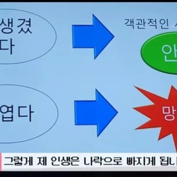 jejakja000의 양아지