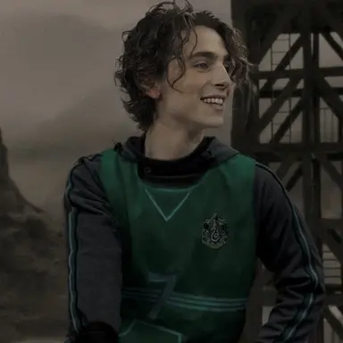 Profile image of Regulus Black
