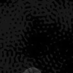 Profile image of ㅇㅈ