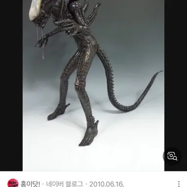 Profile image of 여우인