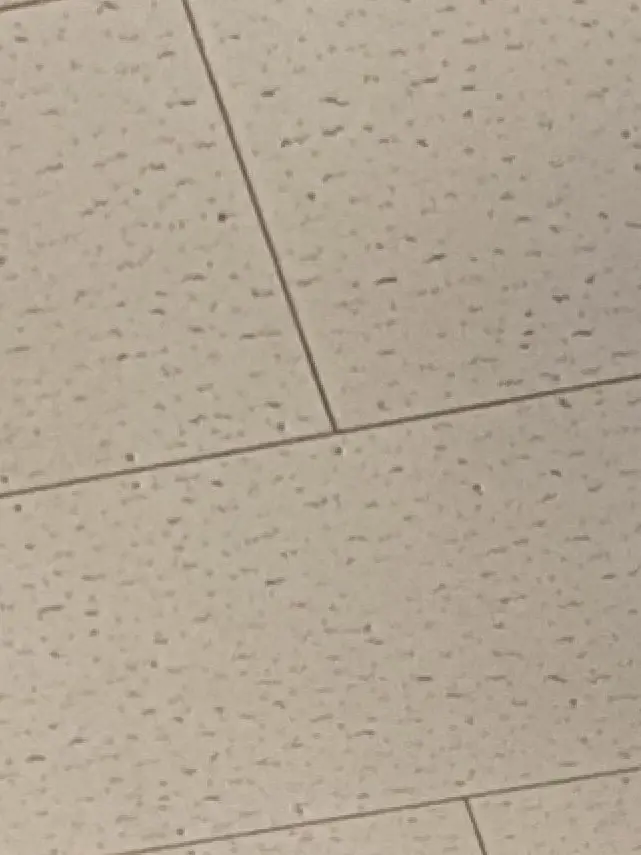 Kurosann의 シャドー