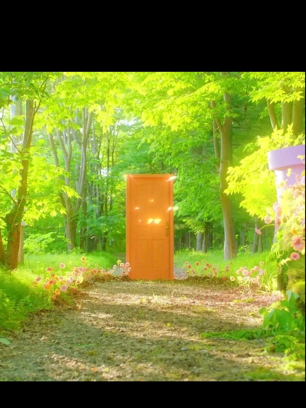 자유롭게 대표 이미지