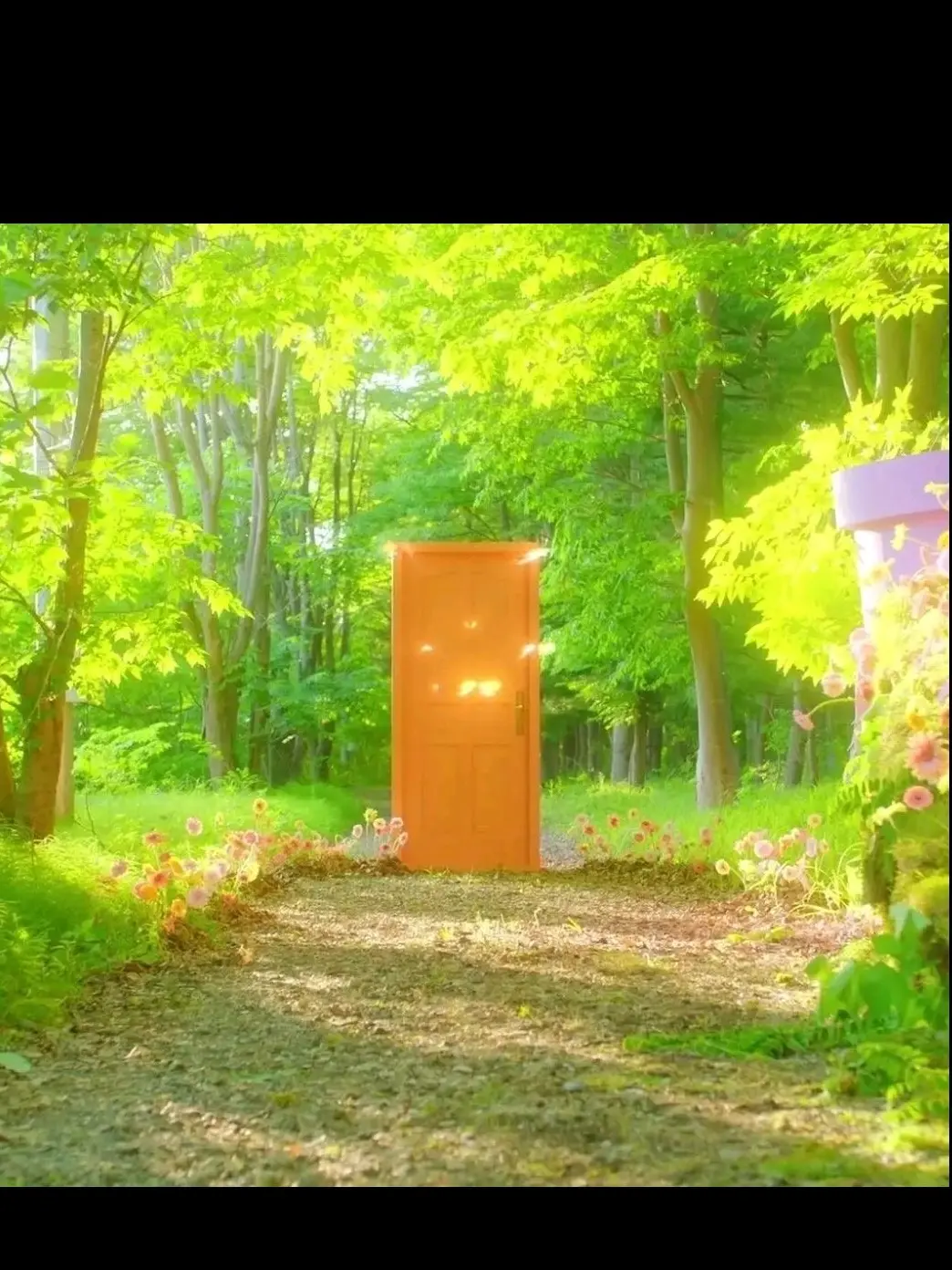 GroggyCrate2876의 자유롭게