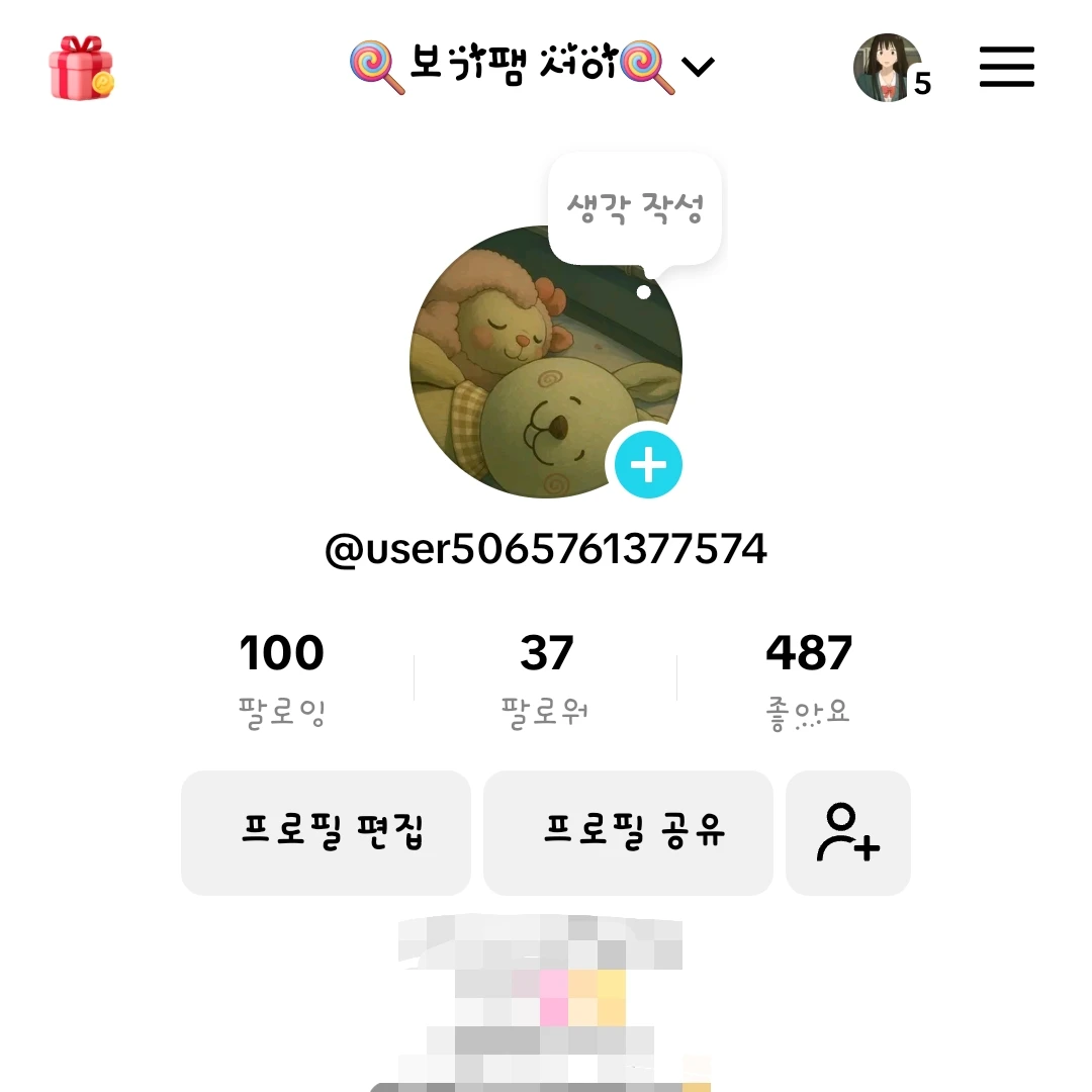 틱톡커 서이