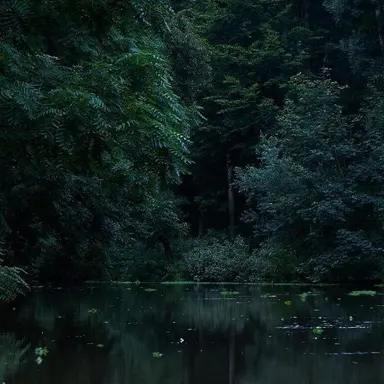 Profile image of 츠리테