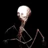 Profile image of fetus