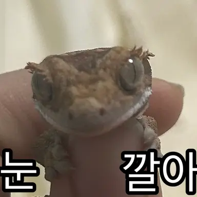 Profile image of 주인장