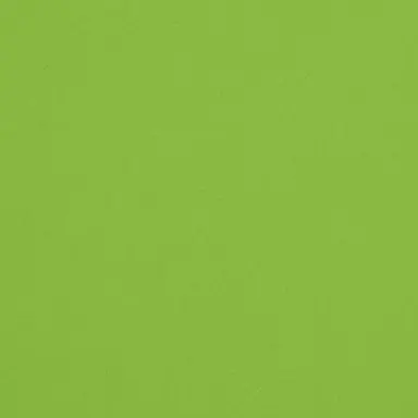 Profile image of さねみ