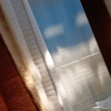 Profile image of 菊の母