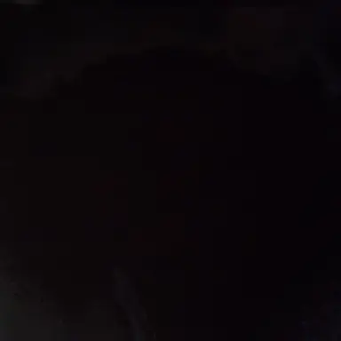 Profile image of 쿠키들과여우