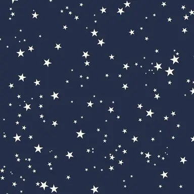 Profile image of 星導ショウ