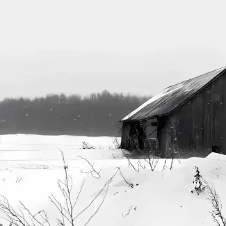 SleepyCup7403의 The Winter RPG