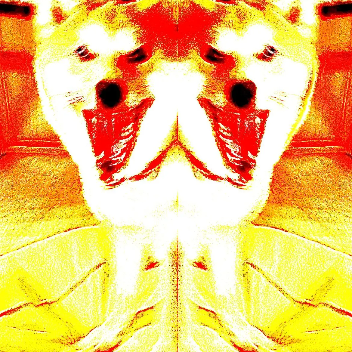 onakapekopeko의 エグい犬来た