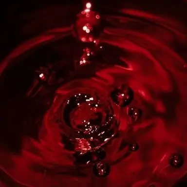 Profile image of 잠뜰