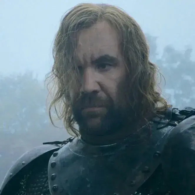StickyCold4173의 Sandor Clegane