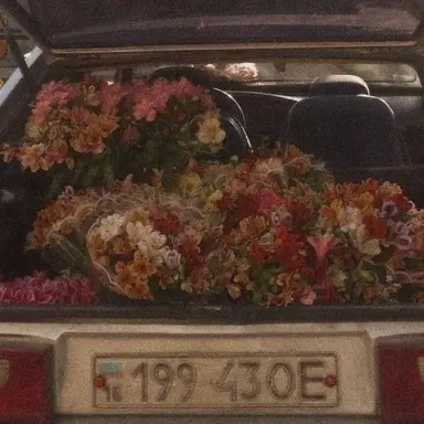 Profile image of 선루한