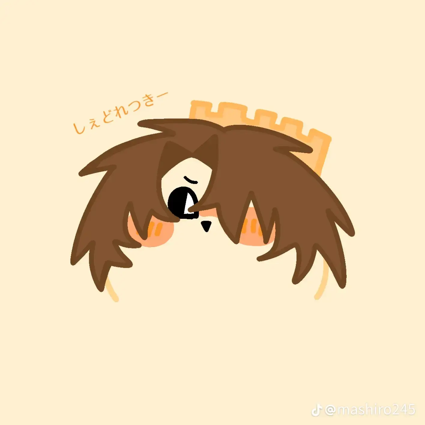 Tanaka.0305의 さぁ〜！皆大好き箱詰めで〜す。