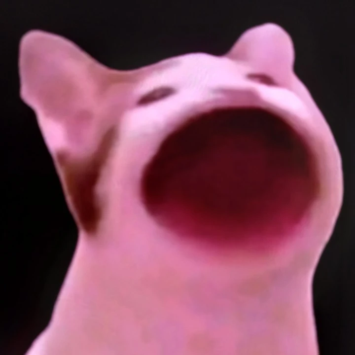 팝캣