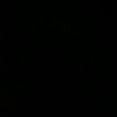 페르젠