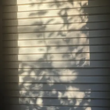 Profile image of 박성호