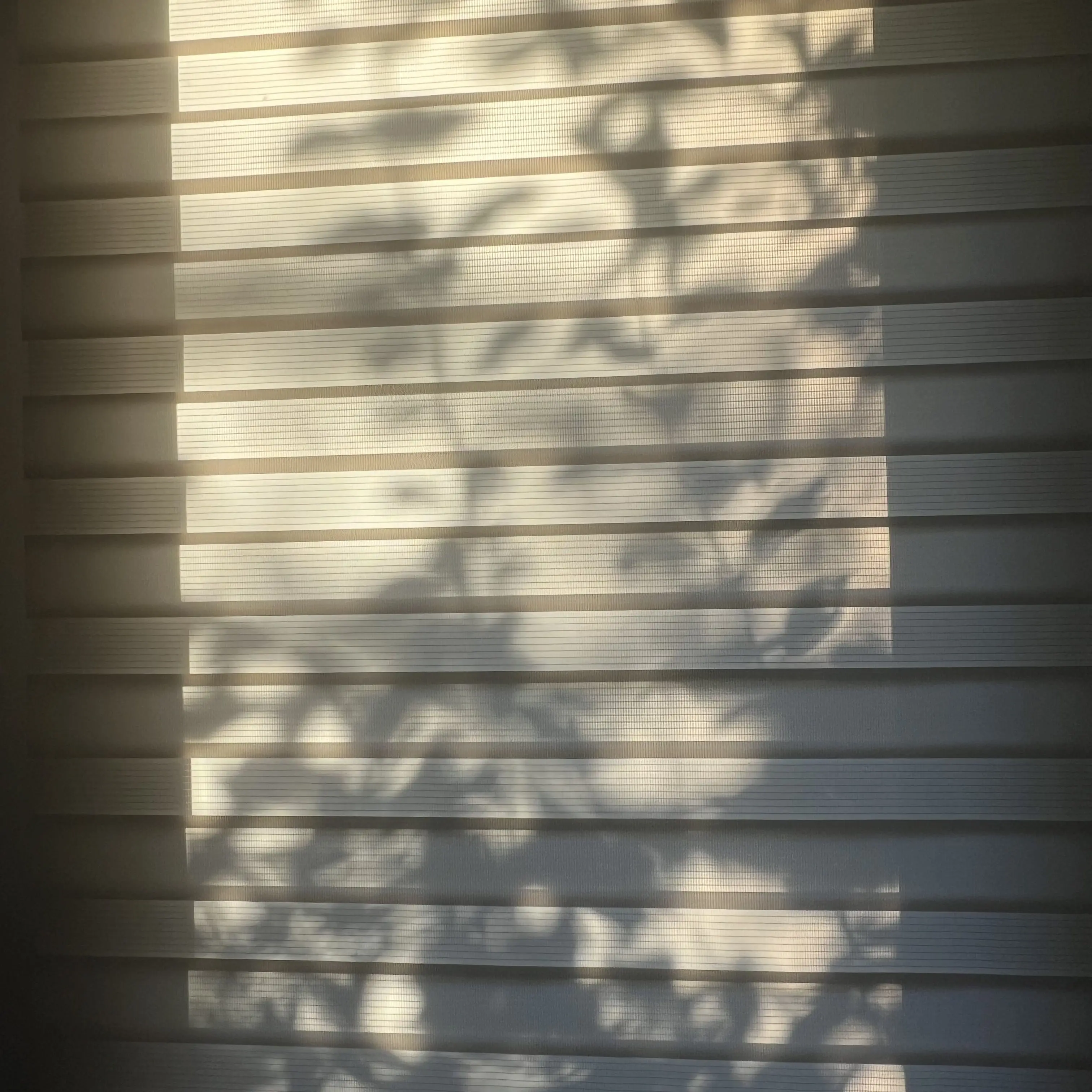 400_years_F0rever의 .