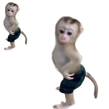 Profile image of 여우