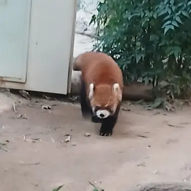 Profile image of 임상율