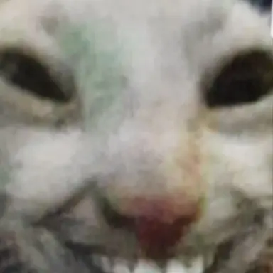 Profile image of 김종은