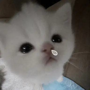 Profile image of スヒョン